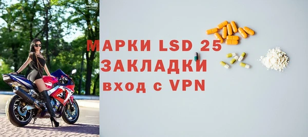 ГАЛЛЮЦИНОГЕННЫЕ ГРИБЫ Болотное