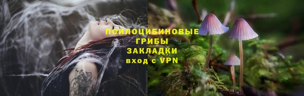 гашик Козельск