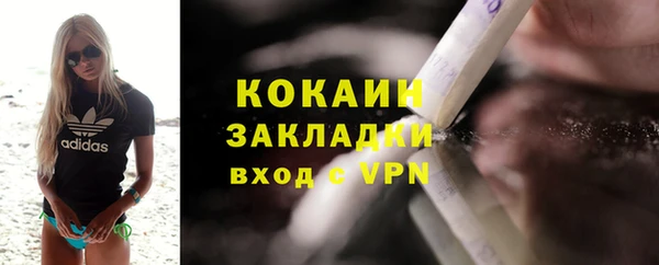 сатива Болхов