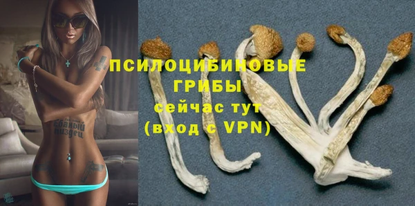 мяу мяу мука Кукмор