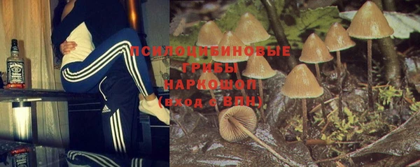 дмт Краснослободск