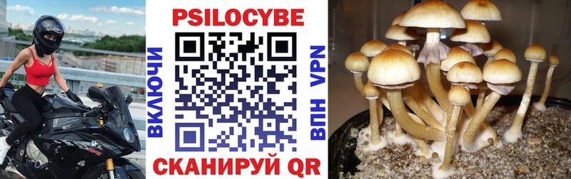 Псилоцибиновые грибы мицелий  Красный Кут 